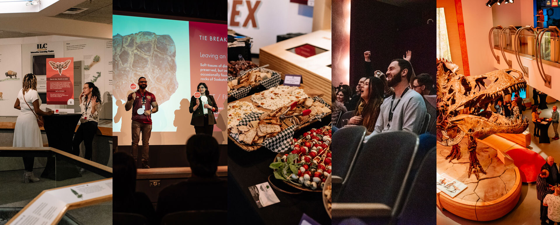 Artifact / Artifiction