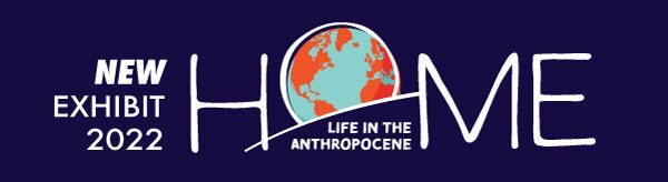 Home: Life in the Anthropocene