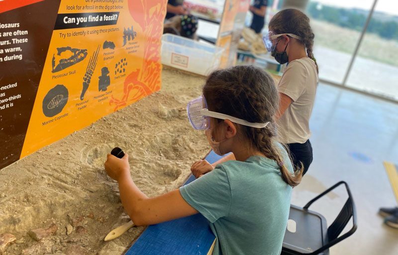 T.rex Discovery Centre Dig Table