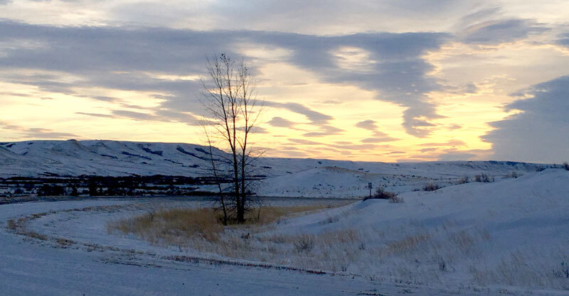 Winter landscape