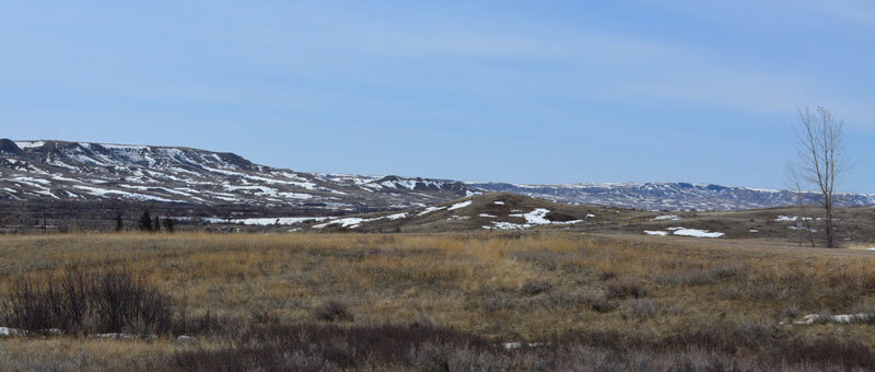 Spring landscape