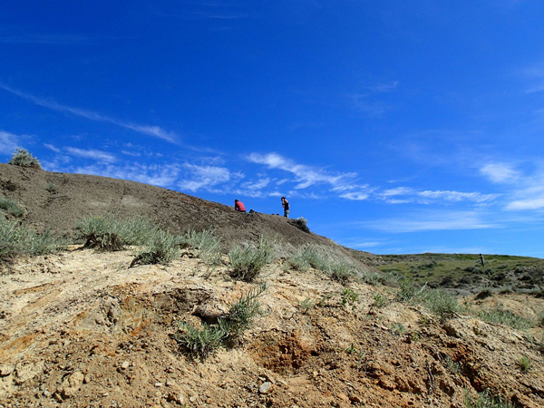 Prospecting for fossils near the village of Herschel.