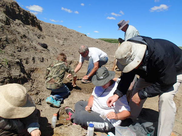Local volunteers and students help with the collection at the Herschel Marine Bonebed in 2014.