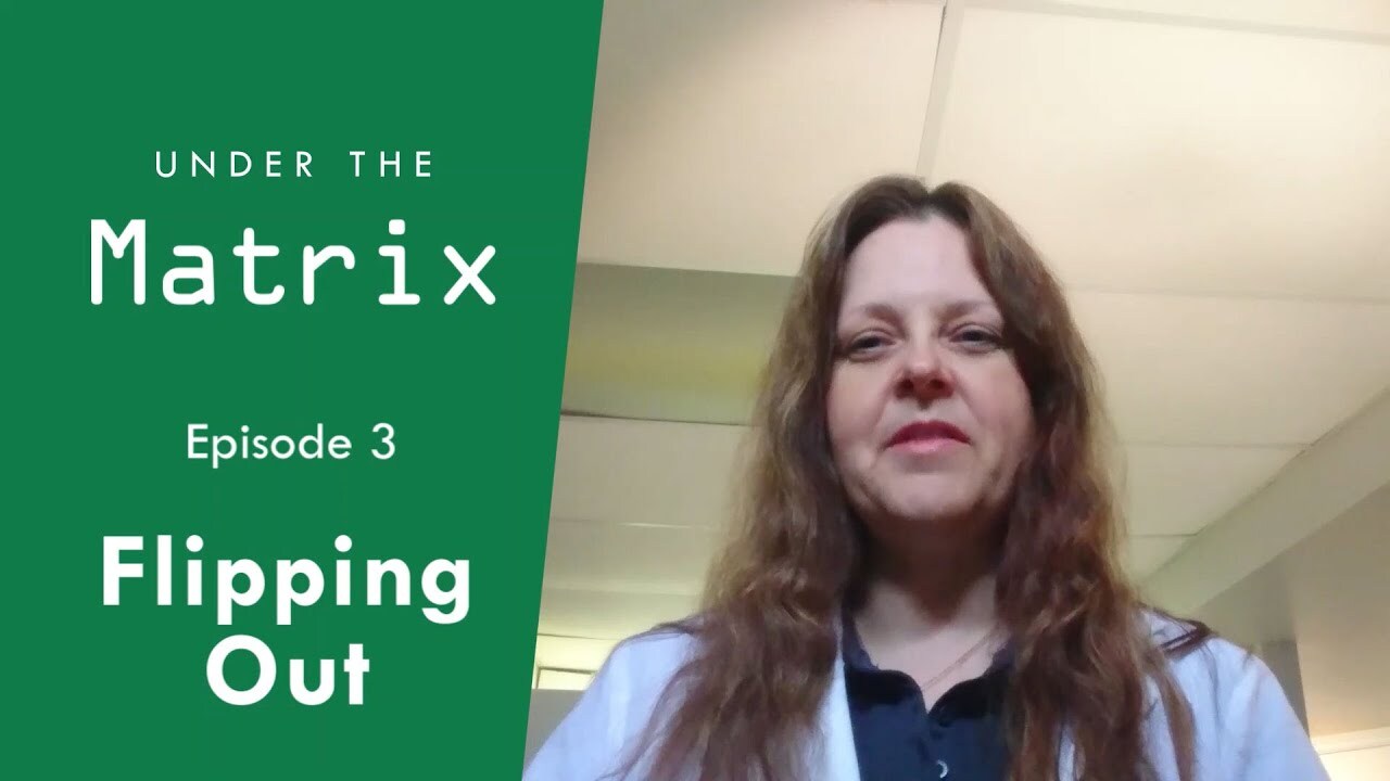 Under the Matrix: Flipping Out
