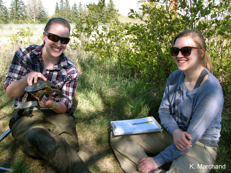 Alyssa and Kelsey hold a turtle