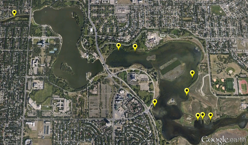 Western Painted Turtle site map