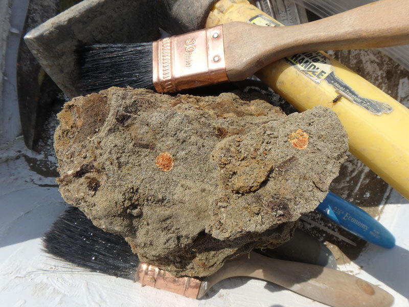 Amber from a triceratops bonebed near Grasslands National Park