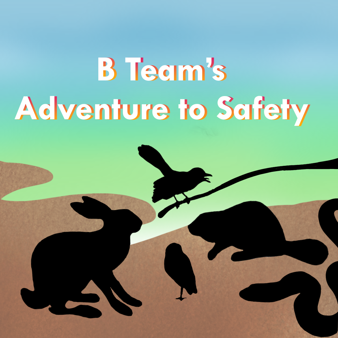 B Team's Adventure to Safety