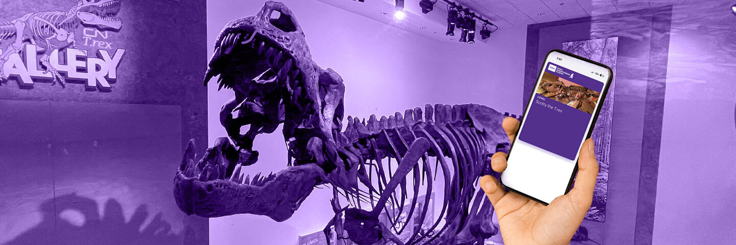 Page Banner Image