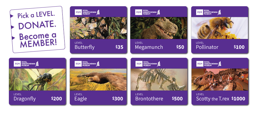 Membership Levels