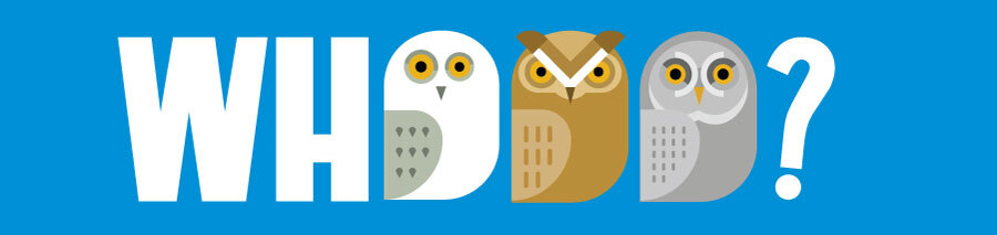 WHOOO Summer Activities