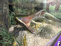 Evolution Gallery Tour