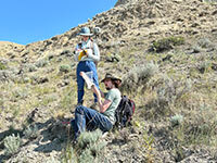Problems in Palaeontology