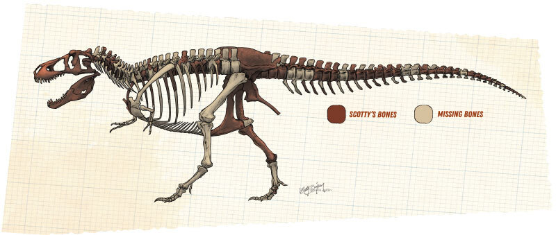 Scotty's Injuries