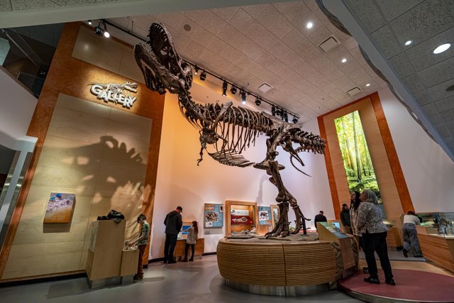 CN T. rex Gallery