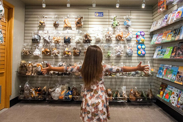 The Museum Shop