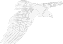 Membership image - Eagle
